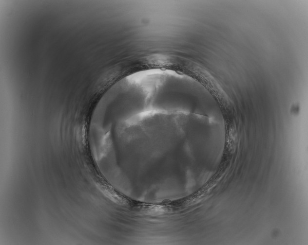 X0000097590330200803211642