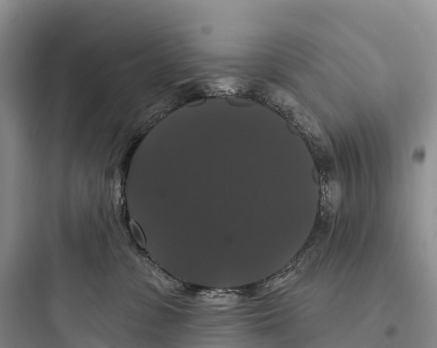 X0000097590331200803211642