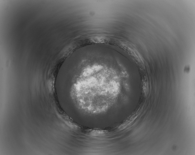 X0000097590332200803211642