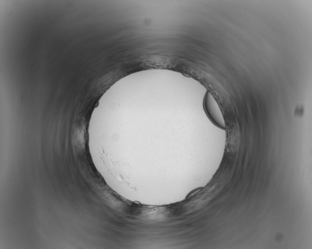 X0000097590334200803211642