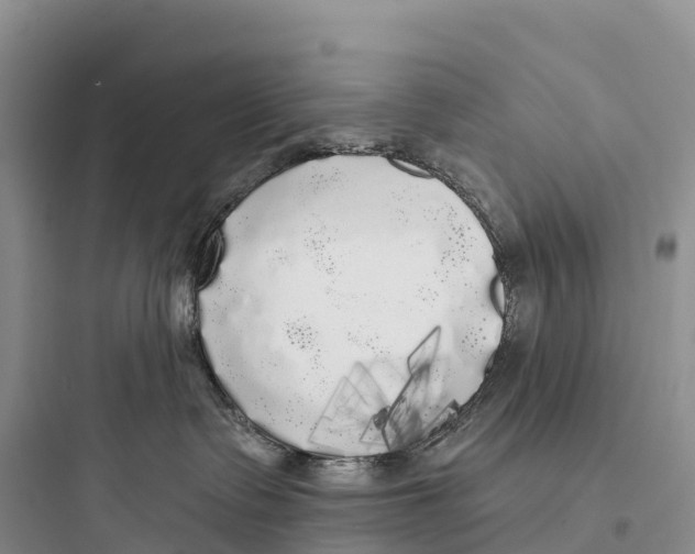 X0000097590335200803211642