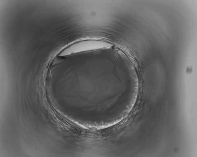 X0000097590337200803211641