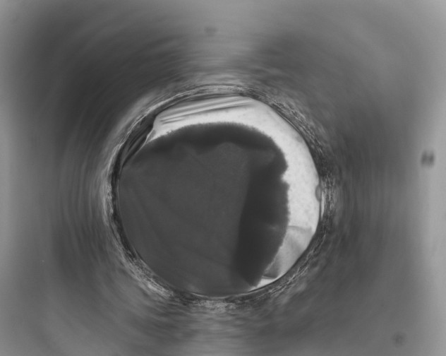 X0000097590339200803211641