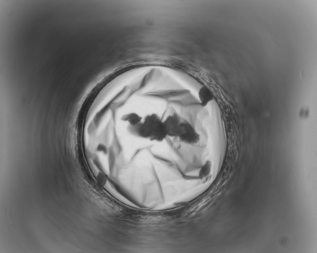 X0000097590342200803211641