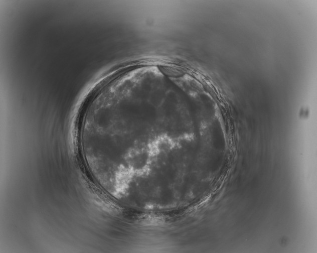 X0000097590343200803211641