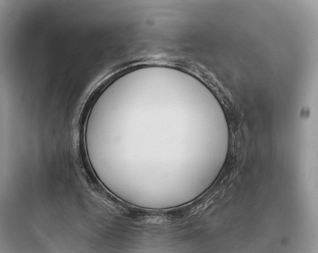 X0000097590344200803211641