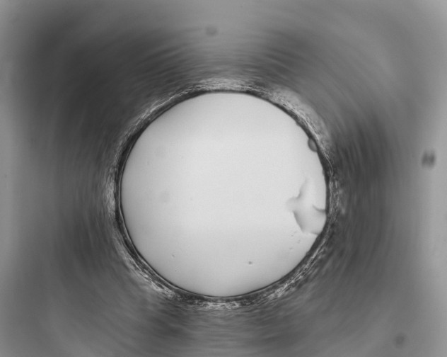 X0000097590345200803211641