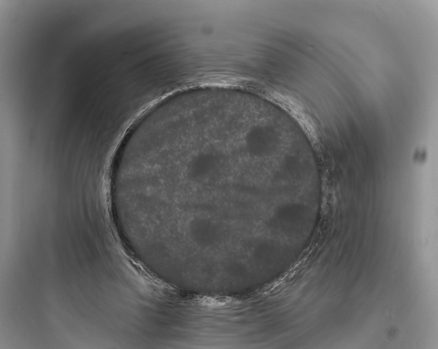 X0000097590346200803211641