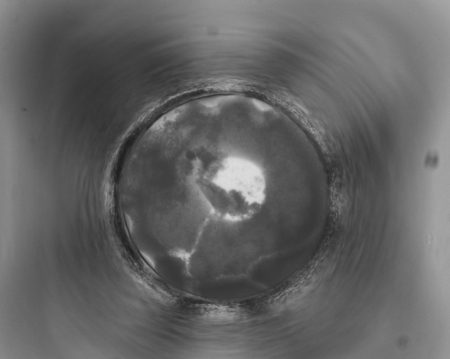 X0000097590347200803211641