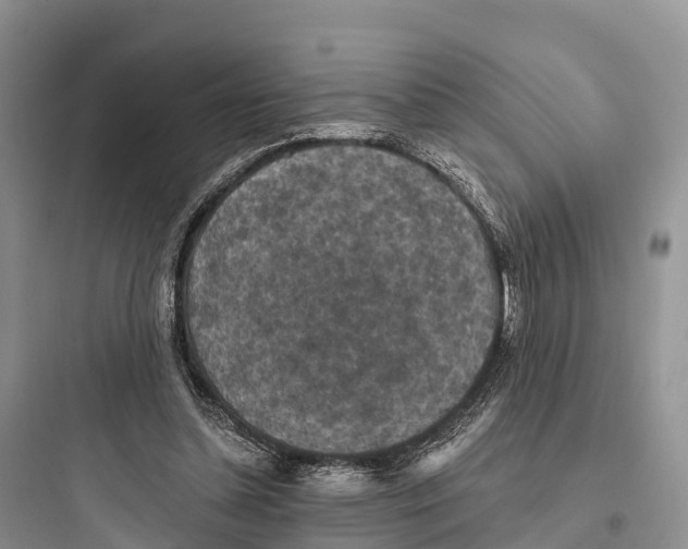 X0000097590348200803211641