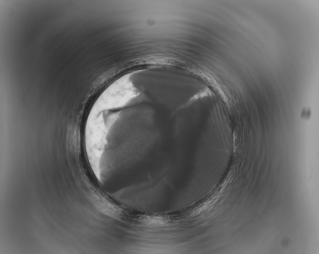 X0000097590349200803211641