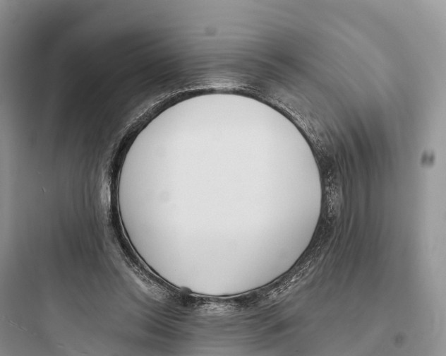 X0000097590350200803211641