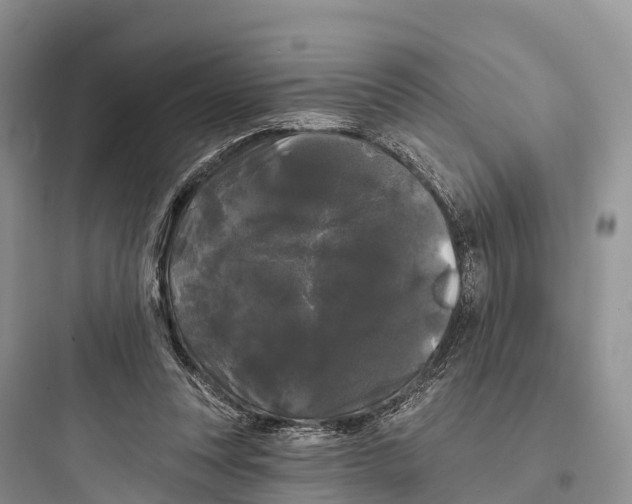 X0000097590351200803211641