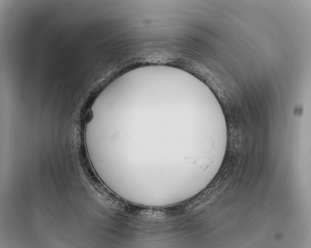 X0000097590354200803211641