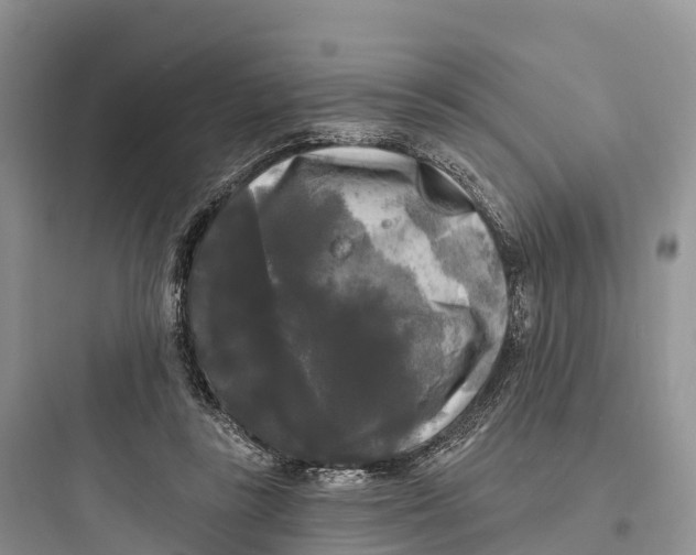 X0000097590355200803211641