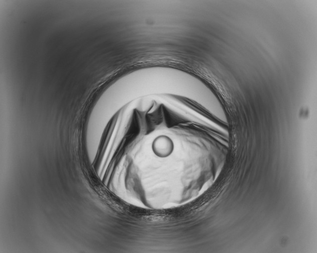 X0000097590356200803211641