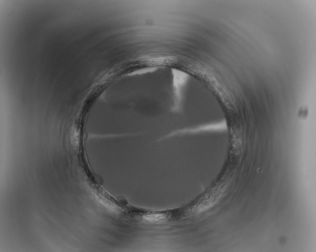 X0000097590357200803211641