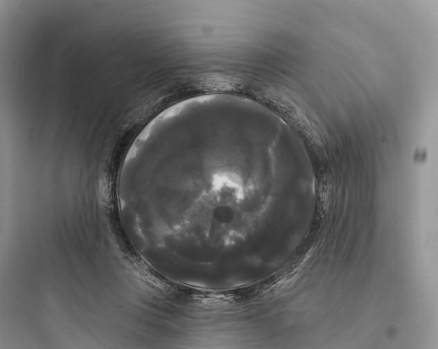 X0000097590359200803211641