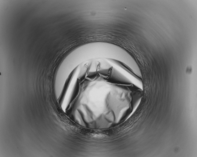 X0000097590360200803211641