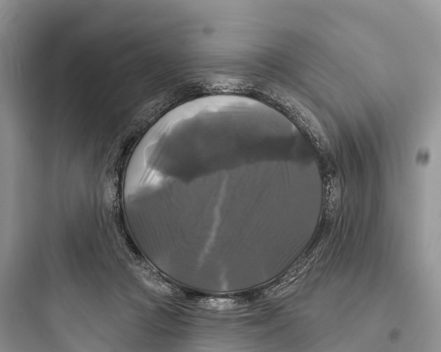 X0000097590361200803211641