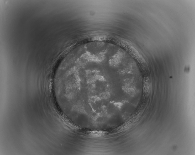 X0000097590363200803211642