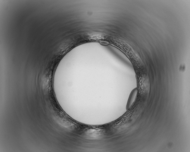 X0000097590364200803211642