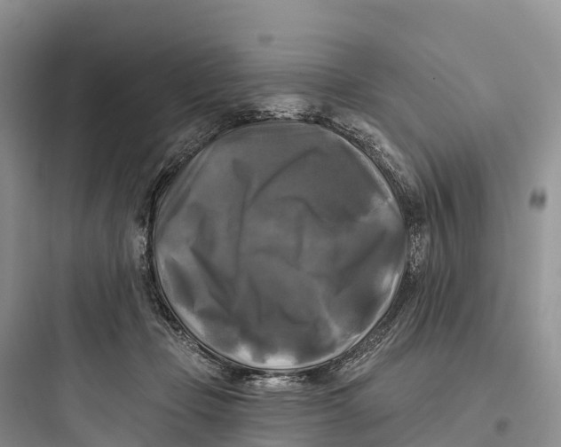 X0000097590365200803211642