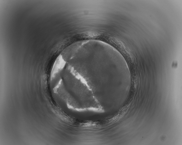 X0000097590366200803211642