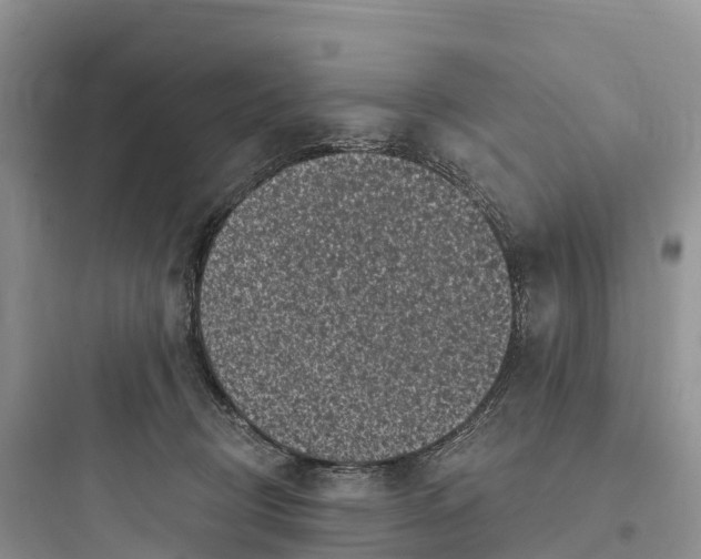 X0000097590370200803211642