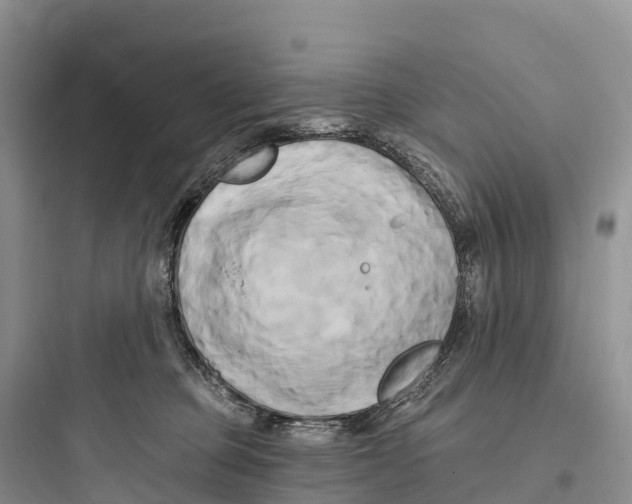 X0000097590373200803211642