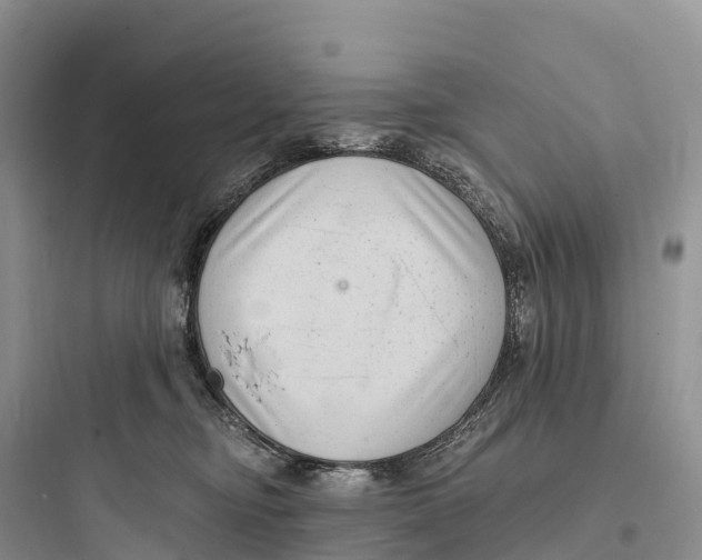 X0000097590374200803211642