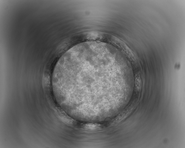 X0000097590375200803211642