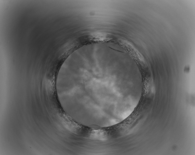 X0000097590376200803211642