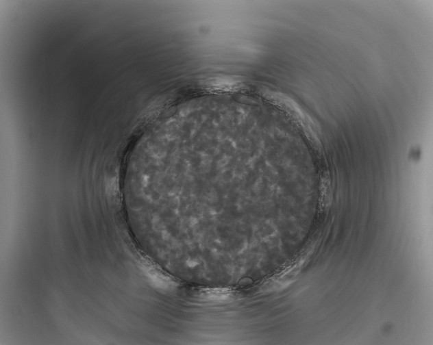 X0000097590377200803211642