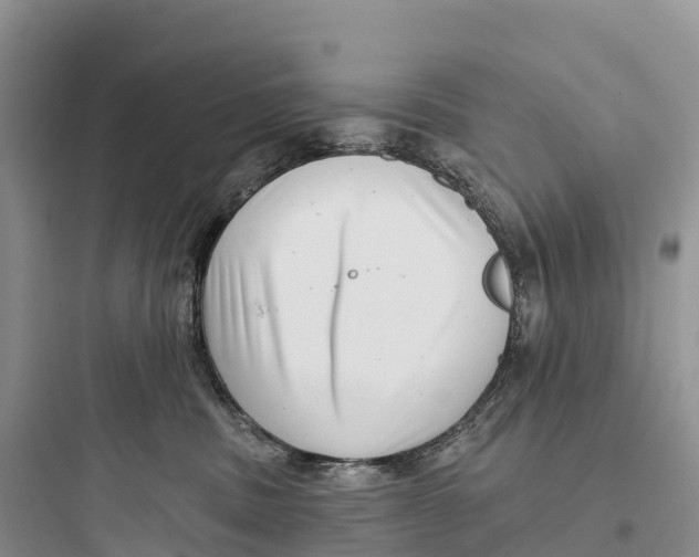 X0000097590379200803211642