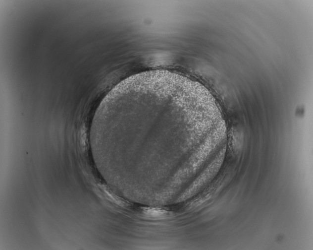 X0000097590380200803211642