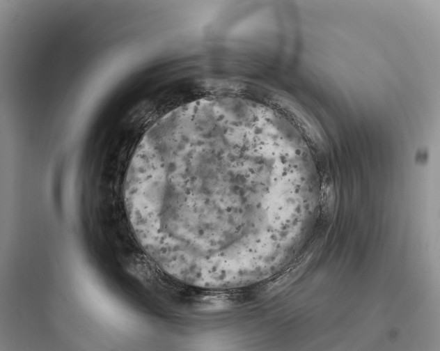 X0000097590381200803211642