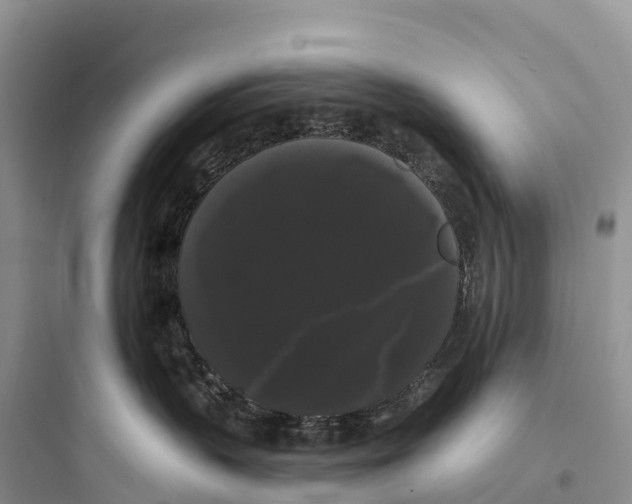 X0000097590383200803211642