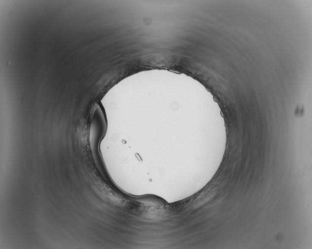 X0000097590384200803211642