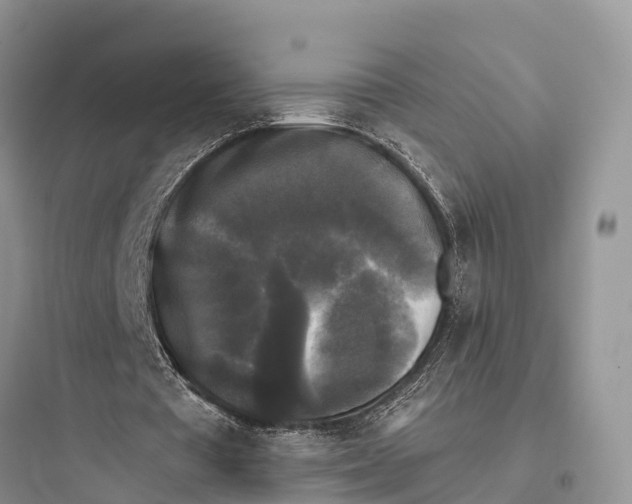 X0000097590385200803211641