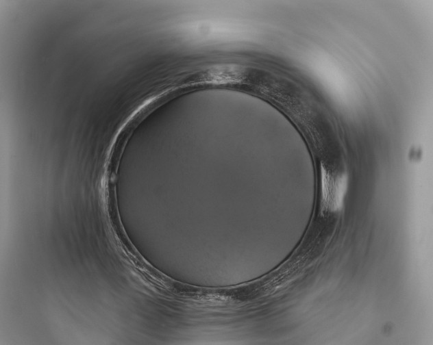 X0000097590387200803211641