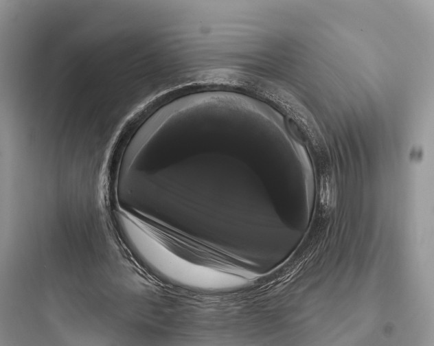 X0000097590388200803211641