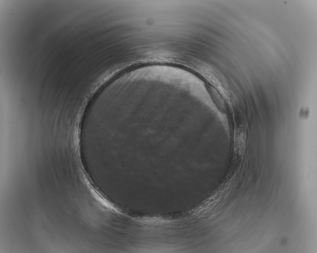 X0000097590389200803211641