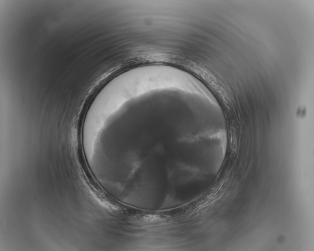 X0000097590390200803211641