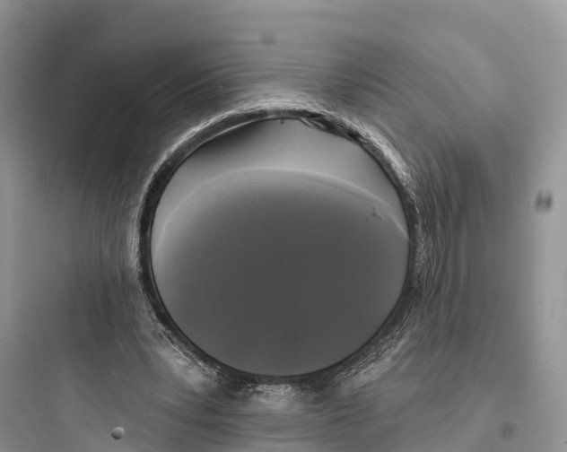 X0000097590391200803211641