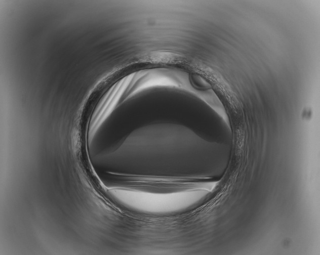 X0000097590392200803211641