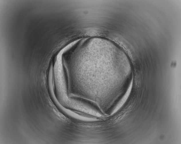 X0000097590393200803211641