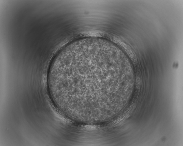 X0000097590394200803211641