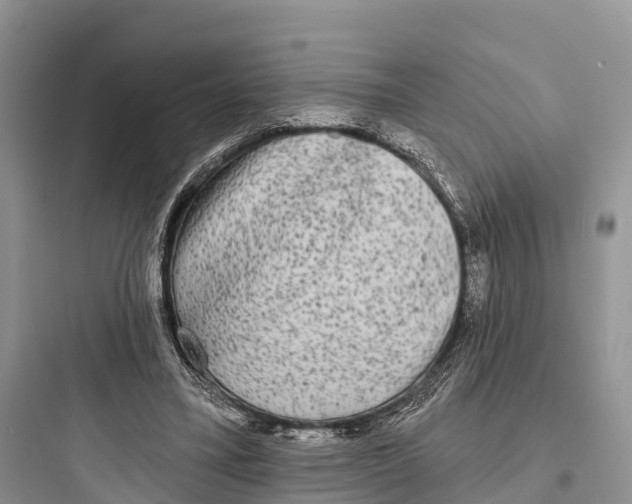 X0000097590395200803211641