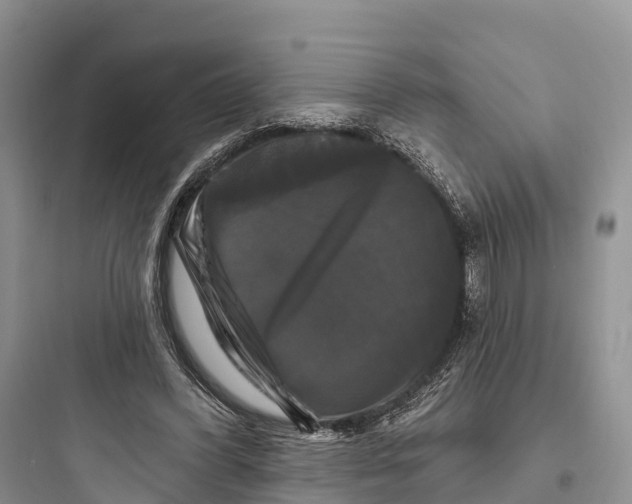 X0000097590396200803211641